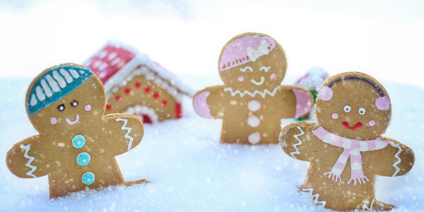 Cookies para una navegación segura
